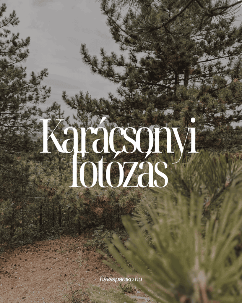 Karácsonyi fotózás Velencén, Fejér megyében.