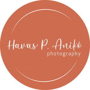 havasp-logo-small